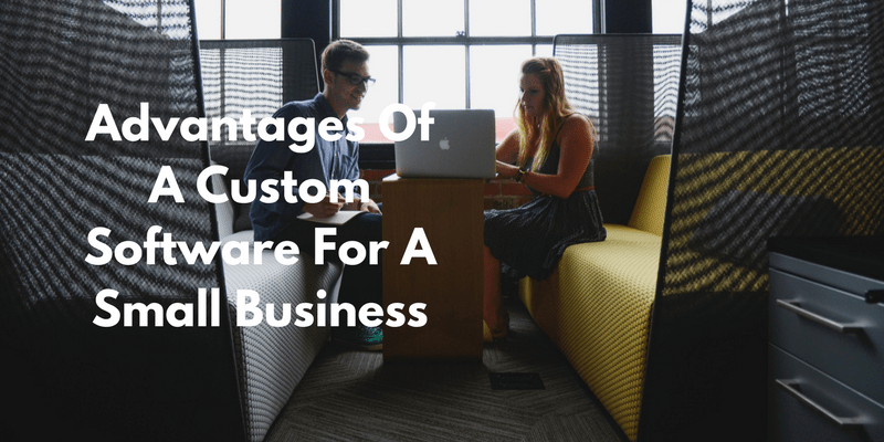Advantages-Of-A-Custom-Software-For-A-Small-Business-_-6798696