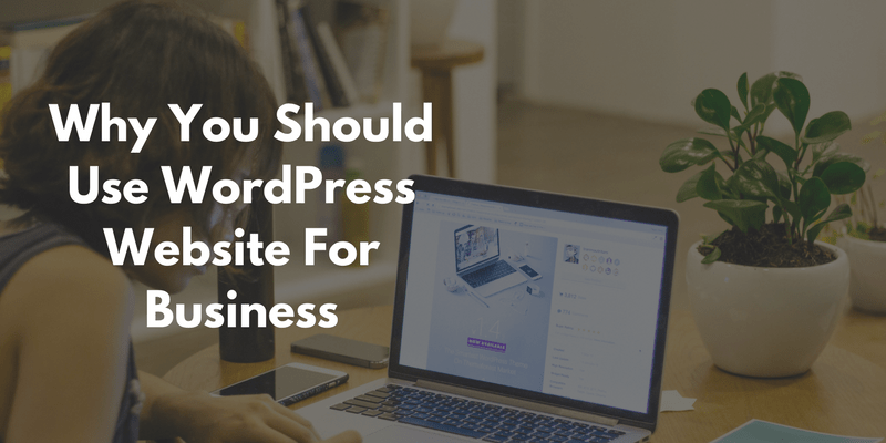 Why-You-Should-Use-WordPress-Website-For-Business